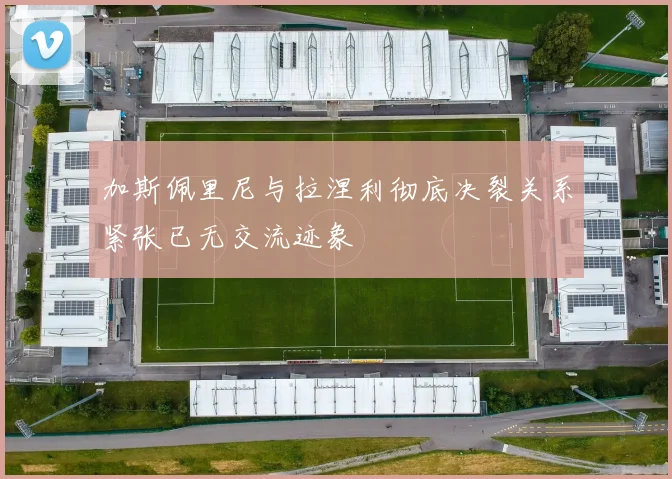 加斯佩里尼与拉涅利彻底决裂关系紧张已无交流迹象