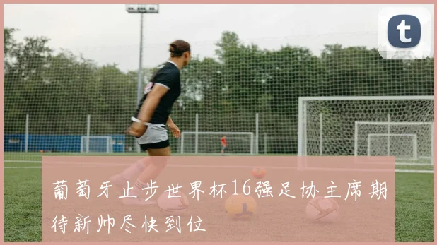 葡萄牙止步世界杯16强足协主席期待新帅尽快到位